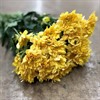 CHR.  PASTELA ORANGE